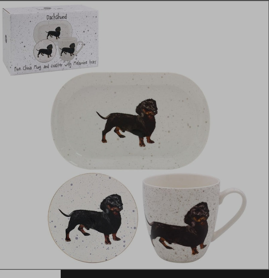 DOG  MUG, COASTER & TRAY  GIFT SET