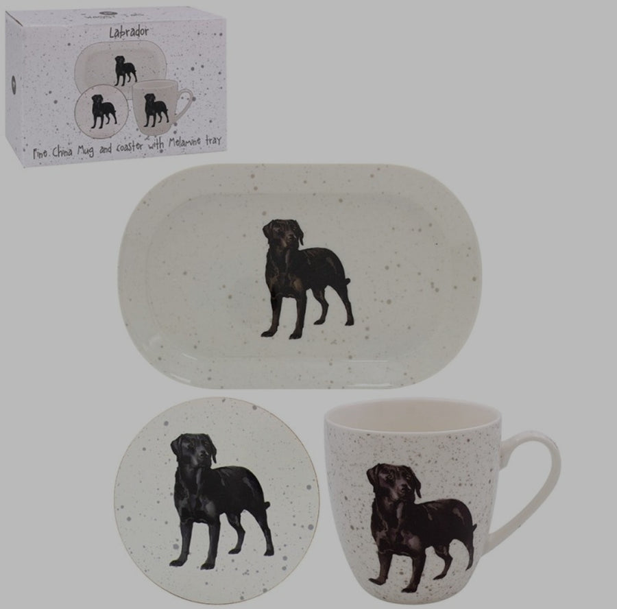 DOG  MUG, COASTER & TRAY  GIFT SET